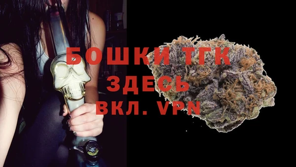 эйфоретик Арсеньев