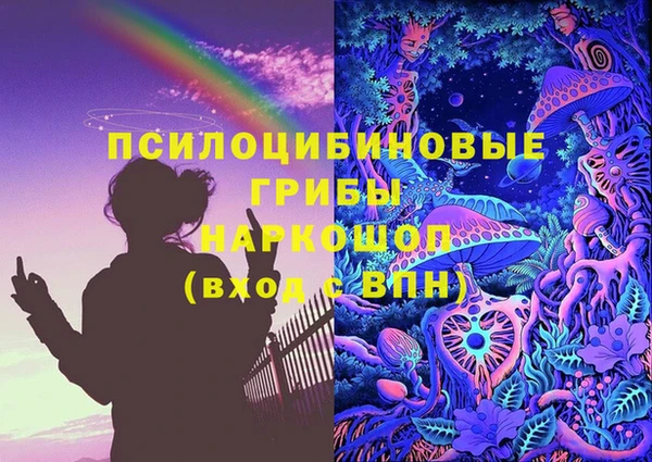 соль ск Аркадак