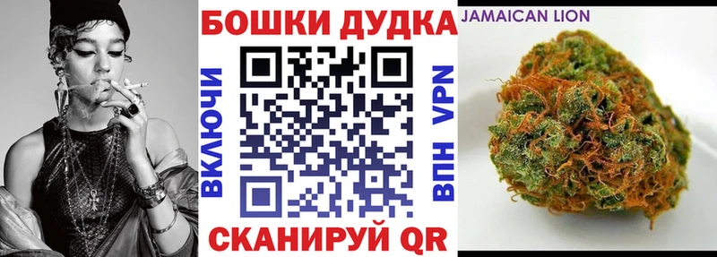 Конопля ГИДРОПОН  хочу наркоту  Салехард 